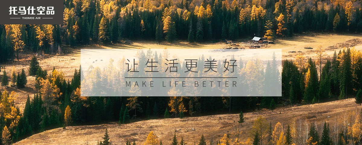 空气污染的：